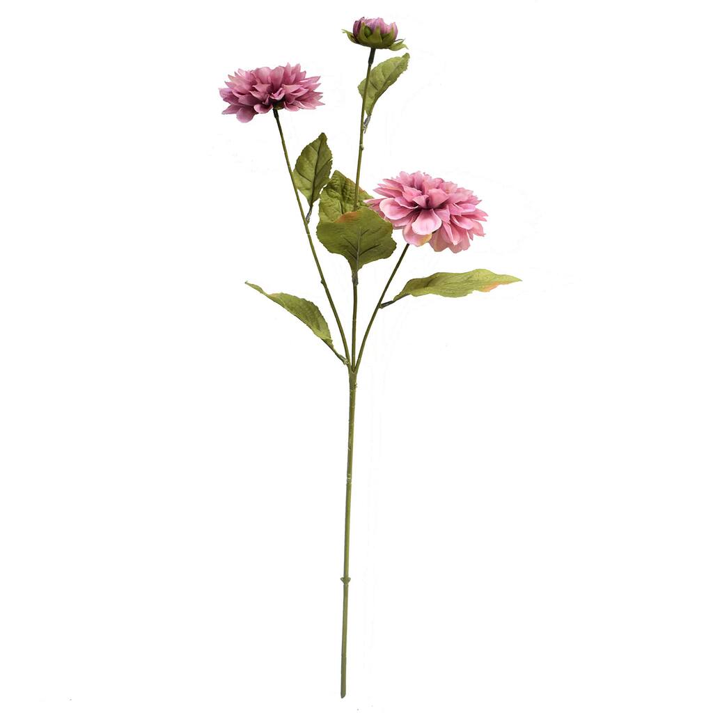 10662461_1.jpg img